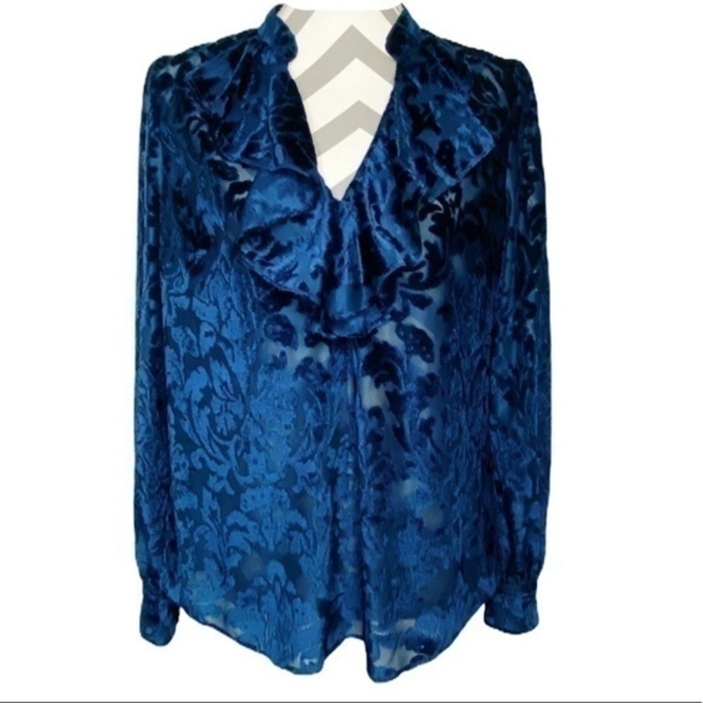 Rachel Zoe Velvet Long Sleeve Blouse